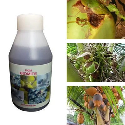 ROM 3 liter Combined Bio Pesticide for Controlling Mite Infestation in Crops